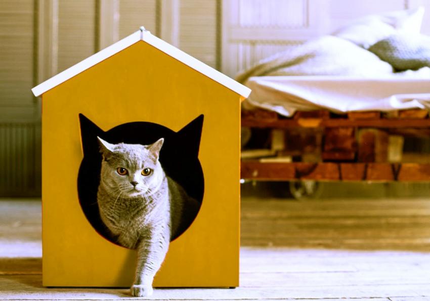 business insurance for bounce house